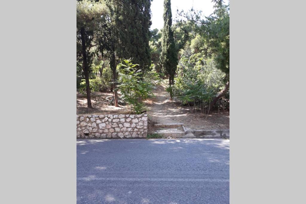 Cozy Apartment For 4 In Kolonaki, Lycabettus Athen Eksteriør billede